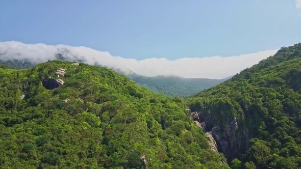Aerial View Tropical Jungle on Hills White Clouds on Horizon