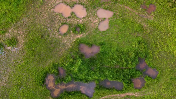 Aerial view water pond at wetland