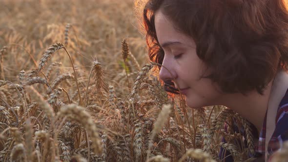 Close Up Of Young Woman In Wheat Field, Fresh Delicious Bread Smelling Ears, Enjoying Of Aromatic