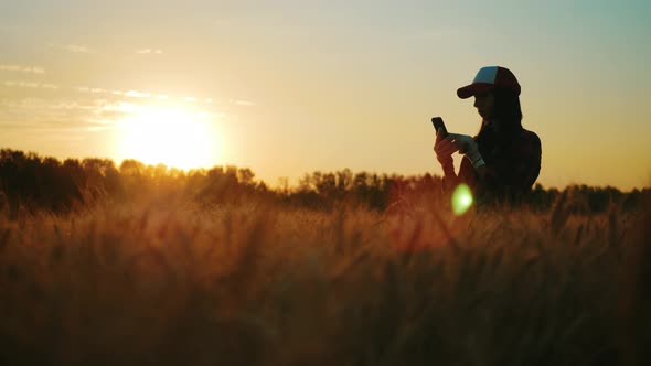 Silhouette Woman Farmer in Hat Standing with Wheat of Harvest Against the Background of a Sunset