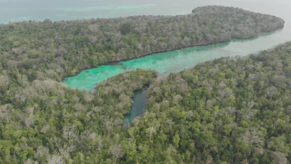 Aerial: flying over tropical sea pristine coastline rainforest turquoise lagoon