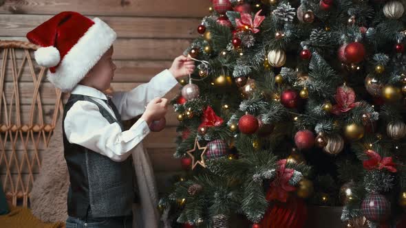 Young Boy in Santa Claus Hat Decorating a Christmas Tree