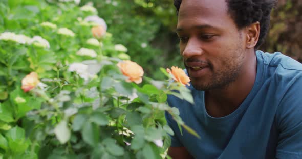 Portrait of happy biracial man gardening, taking care of roses