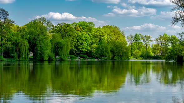 Landscaped pond.