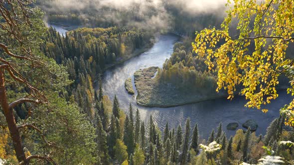 Autumn Steadicam Shot of Oulanka National Park, Finland. Landscape with Autumn Trees, River and Fog