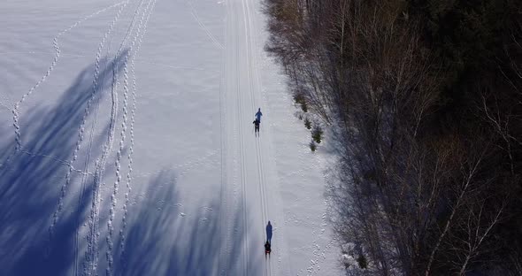 Person Skiing Down the Ski Track Drone Aerial View Above