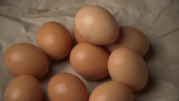 Female Hand Takes a Chicken Egg