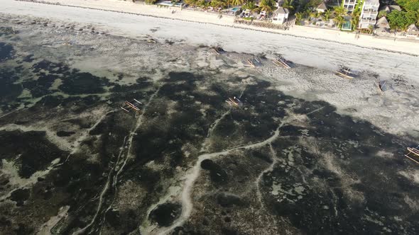 Zanzibar Tanzania  Low Tide in the Ocean Near the Shore