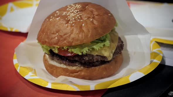 Freshly Flame Grilled Burger Sandwiches and French Fries at Food Market