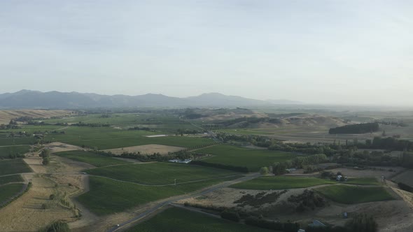 High wide overlook of Marlborough vineyards during a golden afternoon