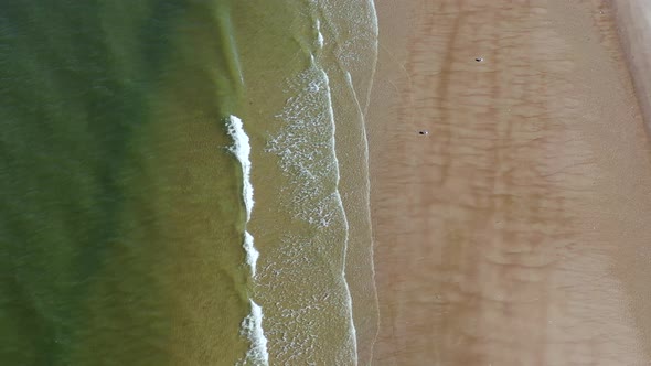 a low top down shot over a beach. The camera dollys forward & descends over seagulls on the shore. Y