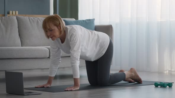 Senior Woman Doing Pilates Standing AllFours Raising Leg At Home