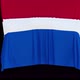 The piece of cloth falls with the flag of the State of Netherlands to cover the product - VideoHive Item for Sale