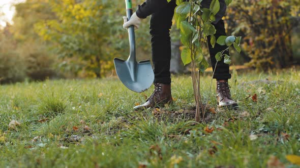 Closeup Unrecognizable Male Eco Activist Volunteer of Social Project in Support Nature Planting Tree