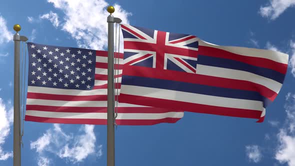 Usa Flag Vs Hawaii State Flag  On Flagpole