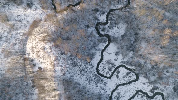 Winter Landscape with Forest, River. Winter Landscape