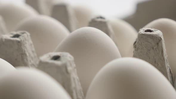 Tilting over chicken eggs close-up 4K footage