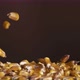 Flying Corn Grains on a Brown Background - VideoHive Item for Sale