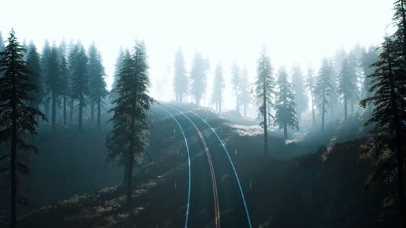 Road Through the Russian Taiga Forest From Aerial View