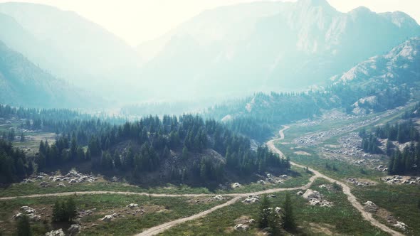 Winding Road in the Mountains with Pine Forest