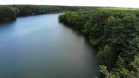 Lake and Green Forest. Aerial View.