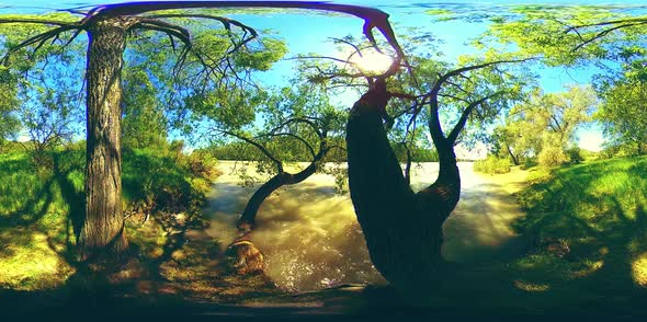 UHD  360 VR Virtual Reality of a River Flows Over Rocks in Beautiful Mountain Forest Landscape