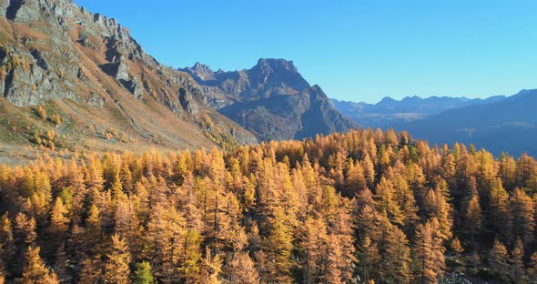 Backward Aerial Over Alpine Mountain Valley Lake and Orange Larch Forest Woods in Sunny Autumn