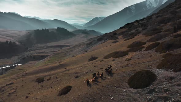 A Helicopter Flies Around a Group of Horses Standing on a Hill Against the Background of a Mountain