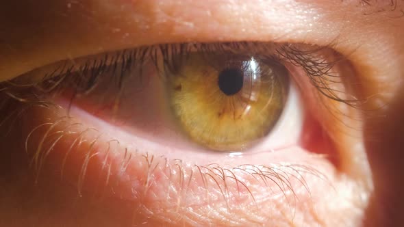 Extreme close up of Woman opening beautiful eye with green iris. Attractive girl, a young female mod