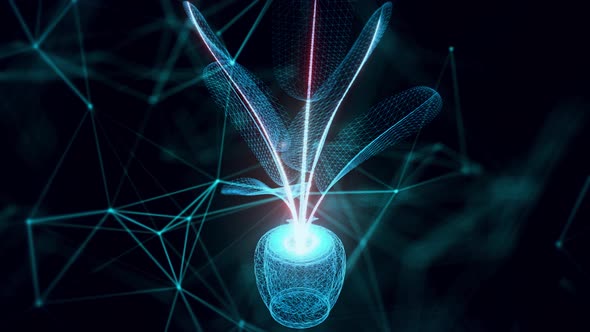 Banana Plant Hologram Close Up 4k alt