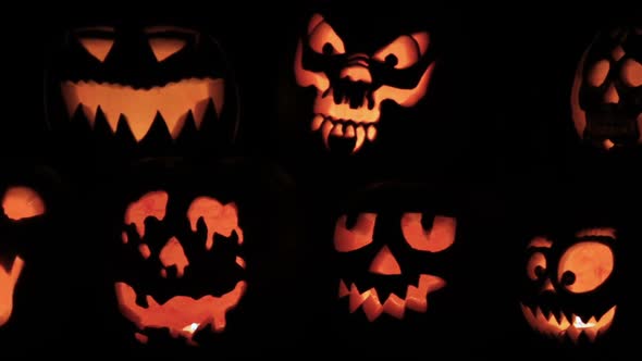 Glowing in the dark spooky Jack-o-lanterns carved from real pumpkins.