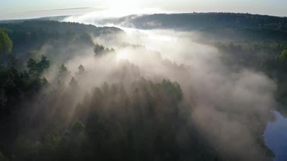 Aerial view of fog with sunrays at sunrise