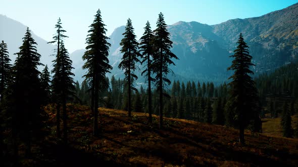 Rocky Mountain Range with Trees