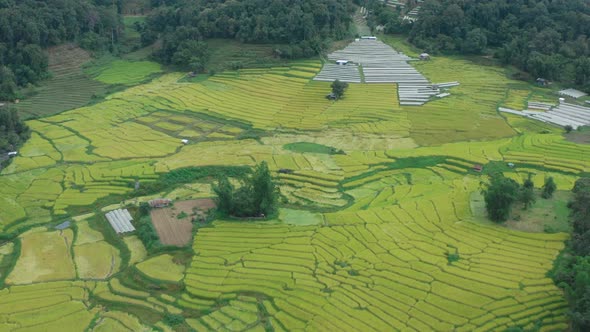 Rice Terraces in Doi Inthanon National Park in Chiang Mai Province, Thailand