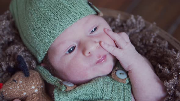 Close-up portrait of a young baby who has recently been born.