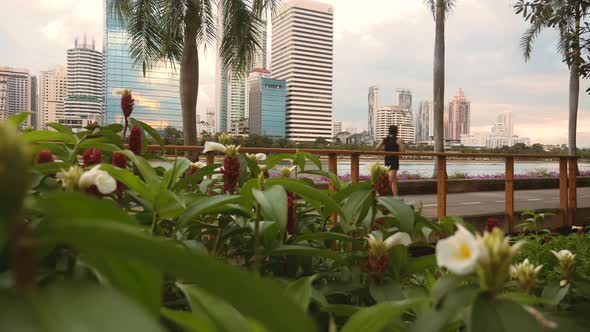 Back View of Asian Women Jogging in City Park with Skyscrapers on Background