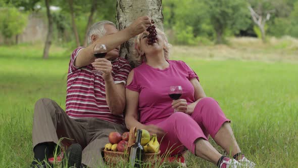 Family Weekend Picnic in Park. Senior Old Couple Sit Near Tree, Eating Fruits, Drinking Wine