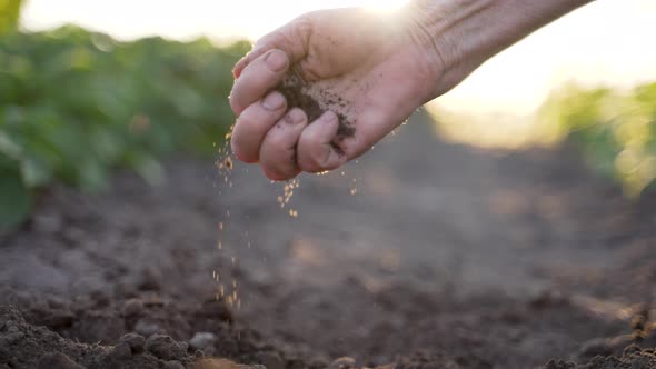 Senior Woman Hand Checking Soil Quality