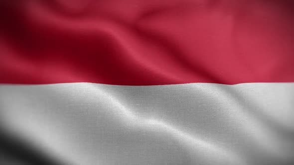 Indonesia Flag Loop