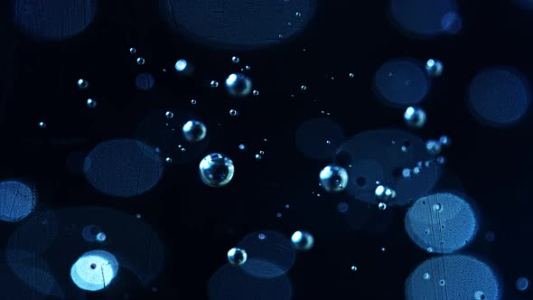 Bubbles