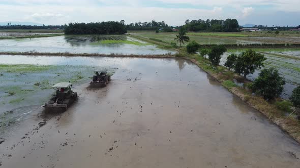 Two tractors plowing in paddy field