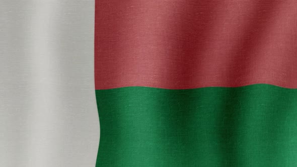 The National Flag of Madagascar alt