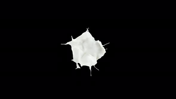 4K Milk Splashing Explosion Slow Motion - Alpha Channel Included In The End Of The Clip