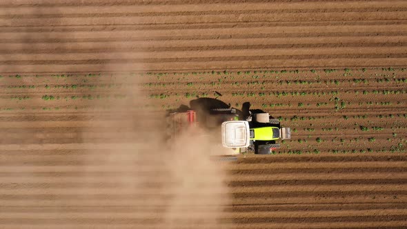Agricultural Machinery in the Potato Field Cultivates the Land