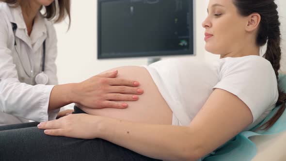 Competent Gynecologist Checking Tummy of Pregnant Woman