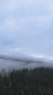 Vertical Video of Fog in the Mountains