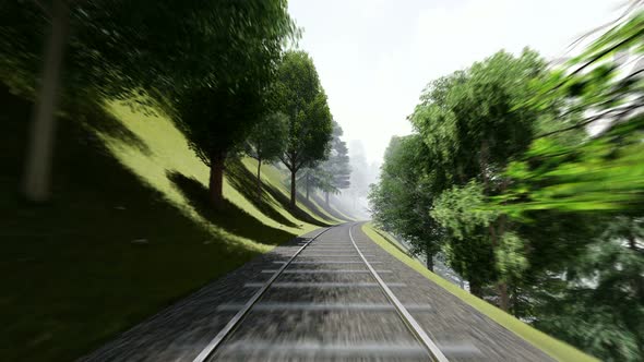 Railway In Forest