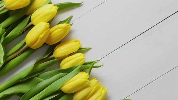 Row of Fresh Yellow Tulips on White Wooden Table