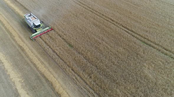 Countryside and Agriculture Flight Over the Field View From Height Combine Harvester Removes Oats