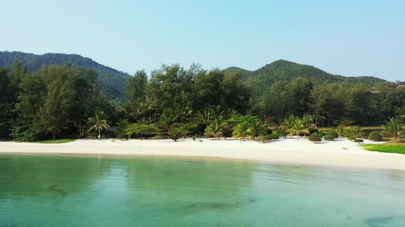 Aerial drone landscape of tranquil island beach wildlife by aqua blue water and white sandy backgrou